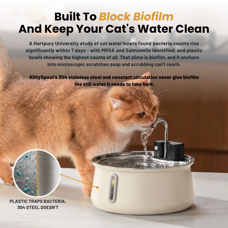 Der KittySpout™ – kabelloser Trinkbrunnen 2.0