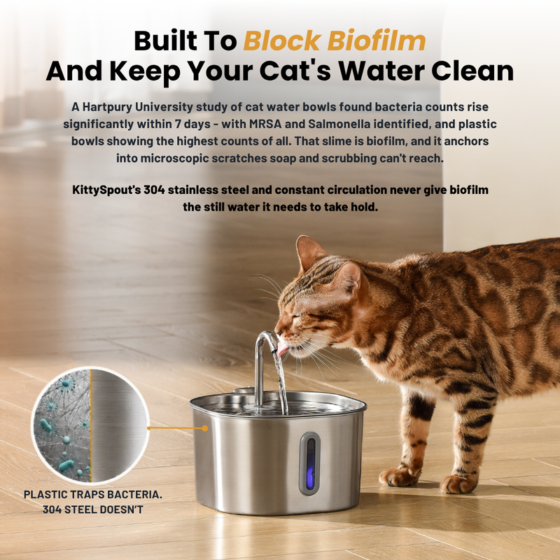 Der KittySpout™ – 2,2-Liter-Brunnen – 2-Monats-Kit