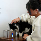 Der KittySpout™ – 2,2-Liter-Brunnen – 2-Monats-Kit thumbnail