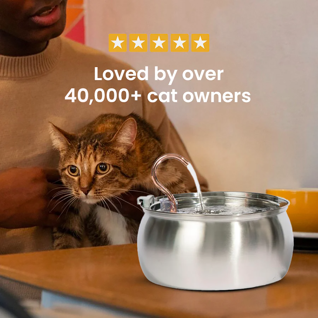 Like New KittySpout Value Bundle - 4L