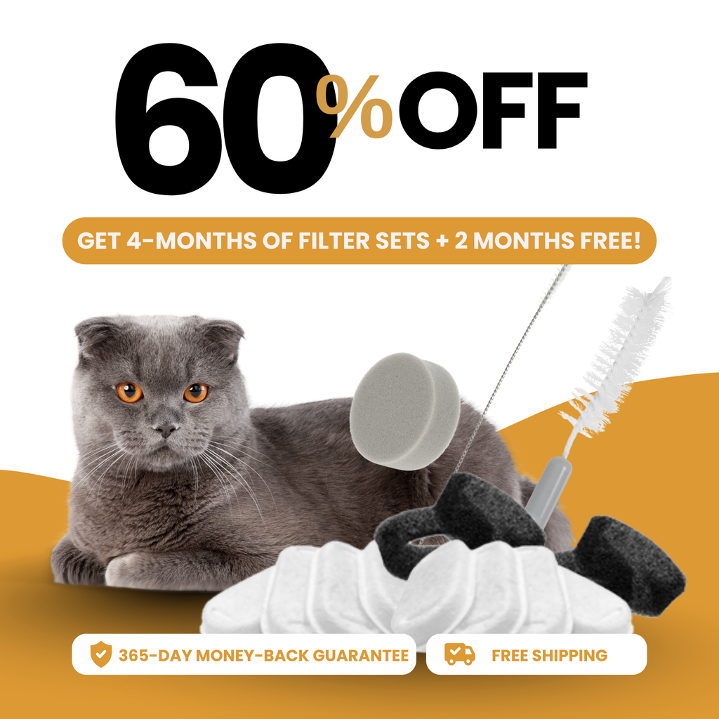 8x KittySpout™-filter - 8 månaders leverans