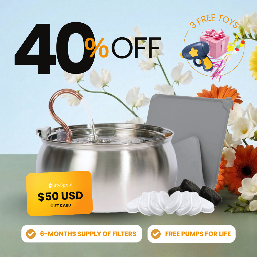 KittySpout Value Bundle