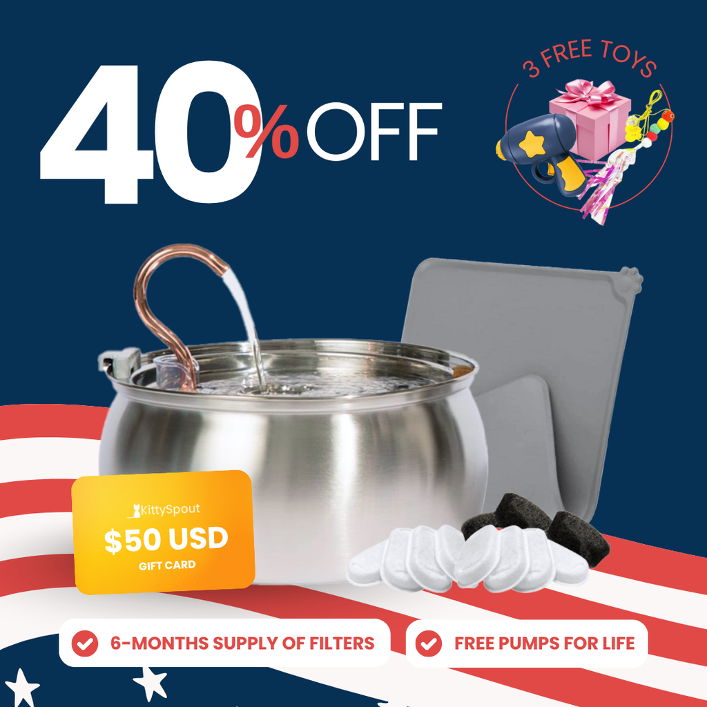 KittySpout Value Bundle