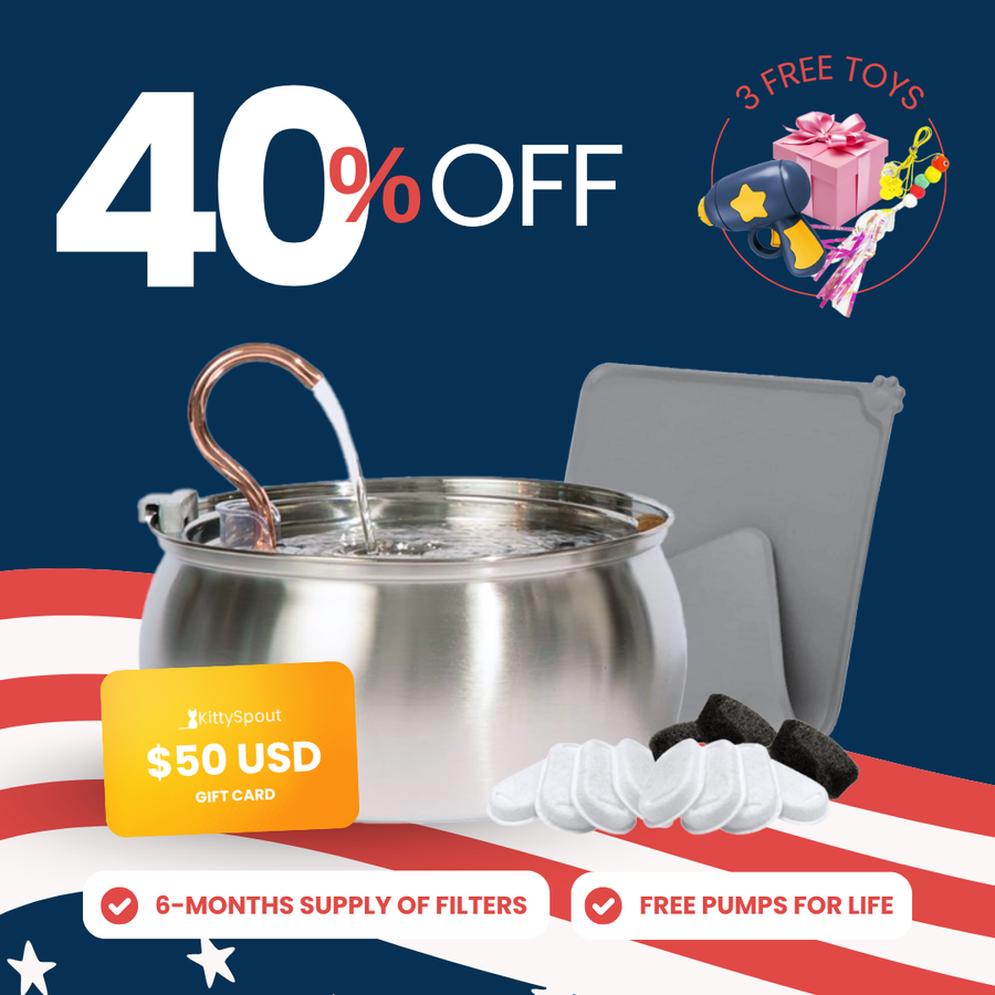 KittySpout Value Bundle