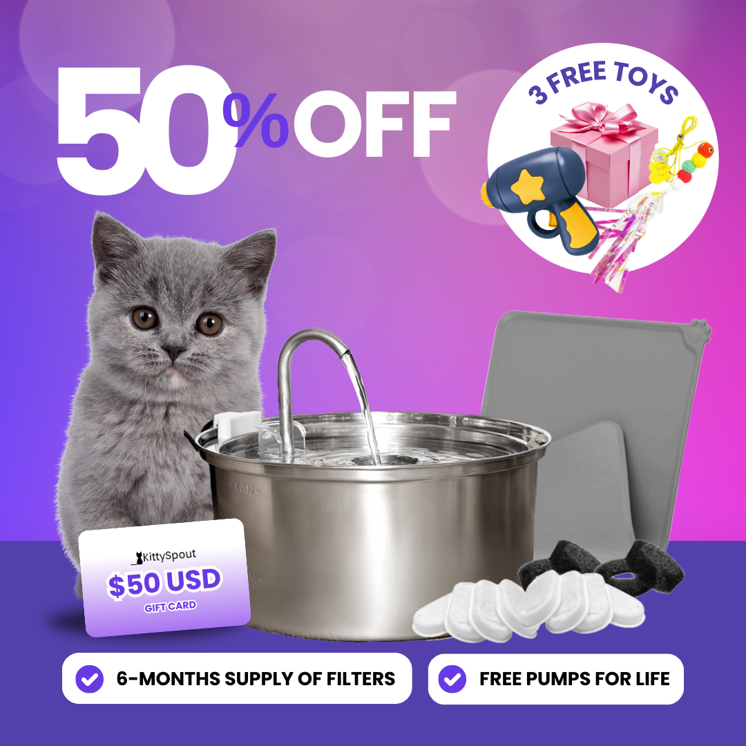 KittySpout Value Bundle