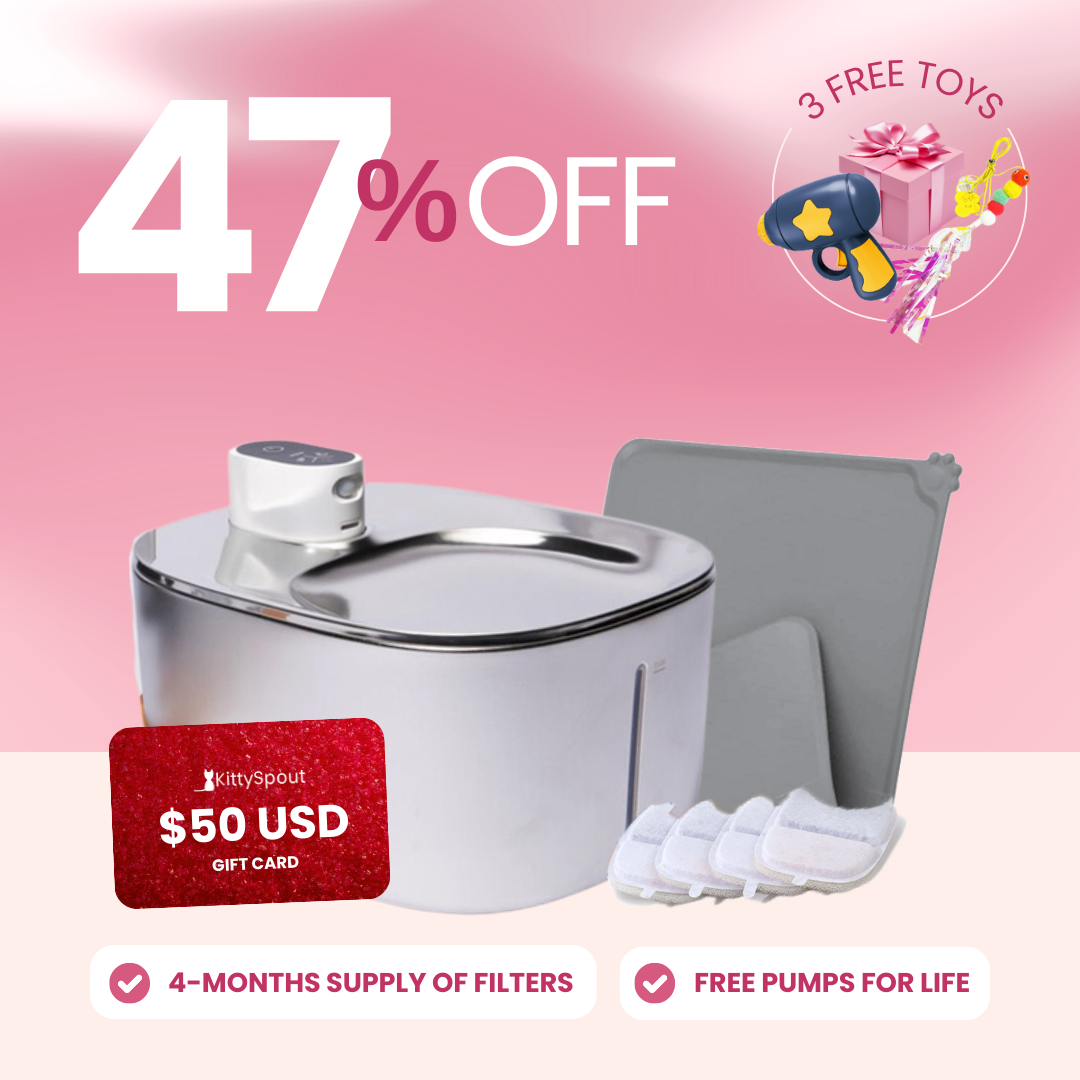 Wireless KittySpout Value Bundle