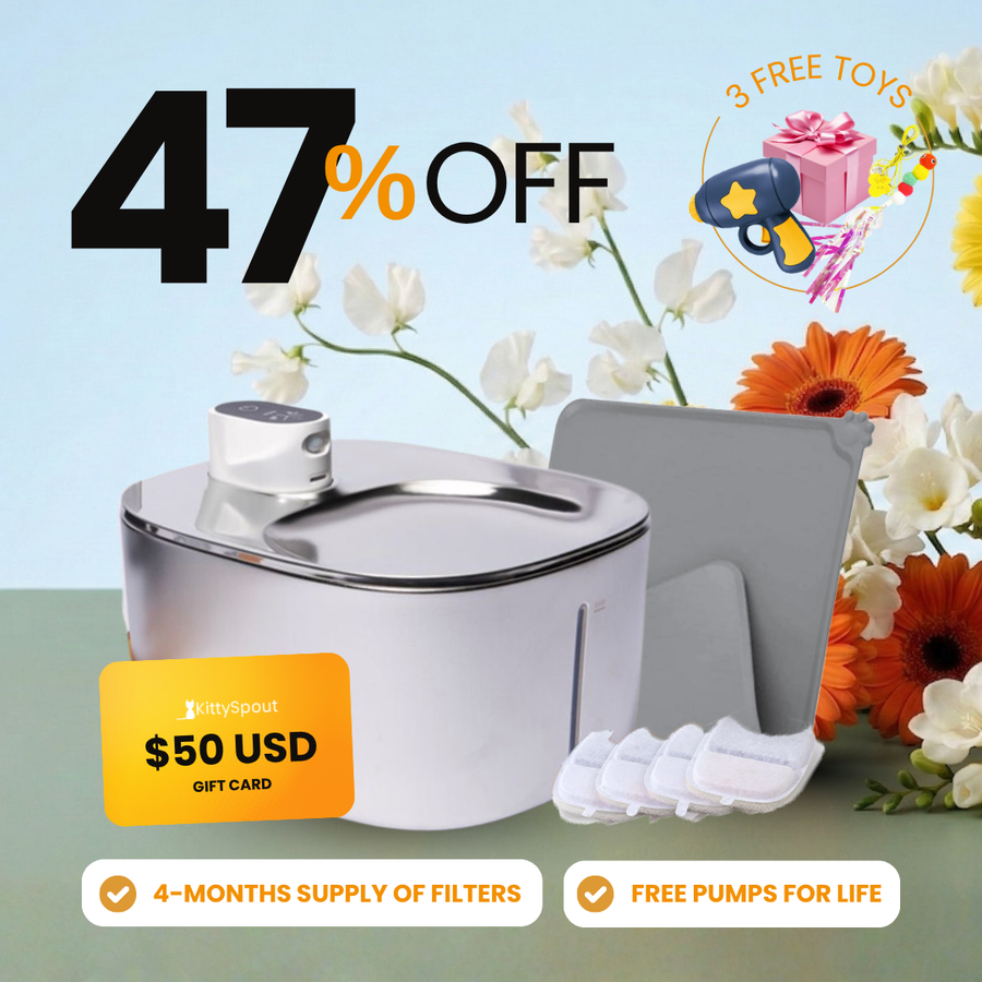 Wireless KittySpout Value Bundle