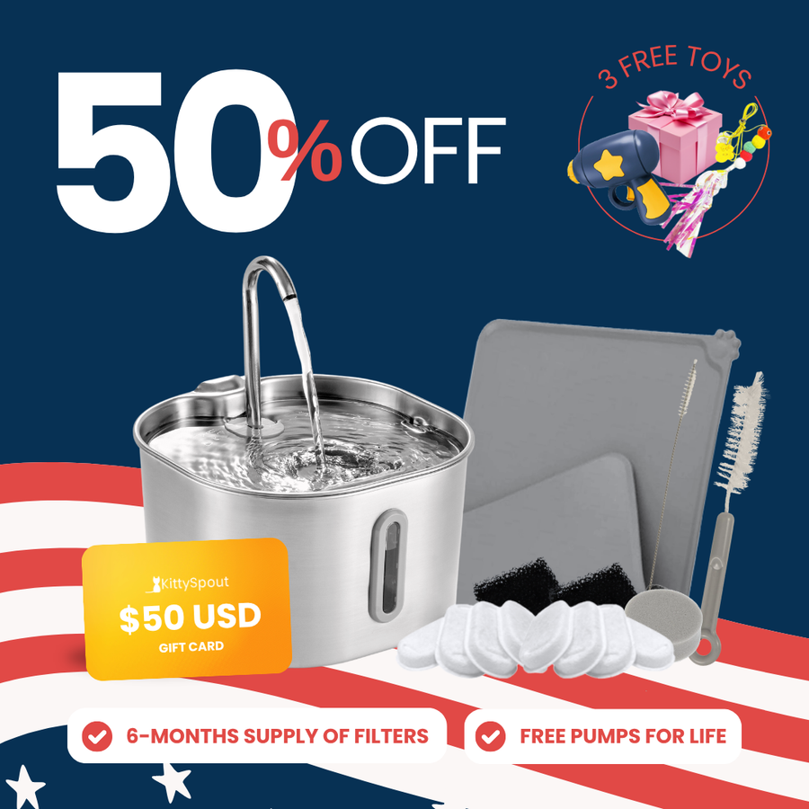 The KittySpout™ - 2.2L Value Bundle