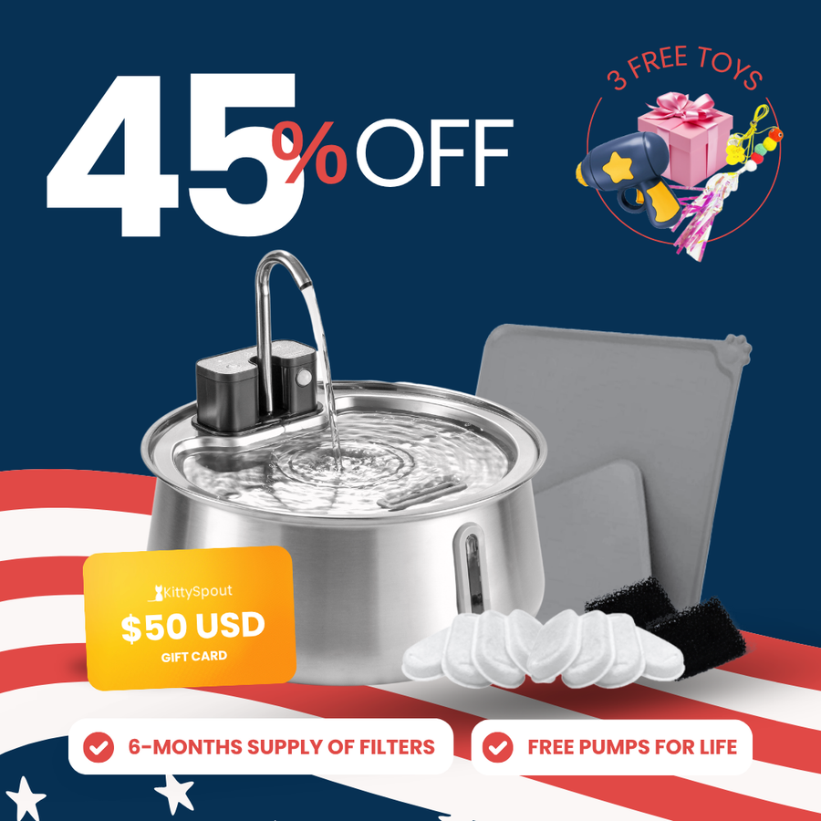 Wireless 2.0 KittySpout Value Bundle