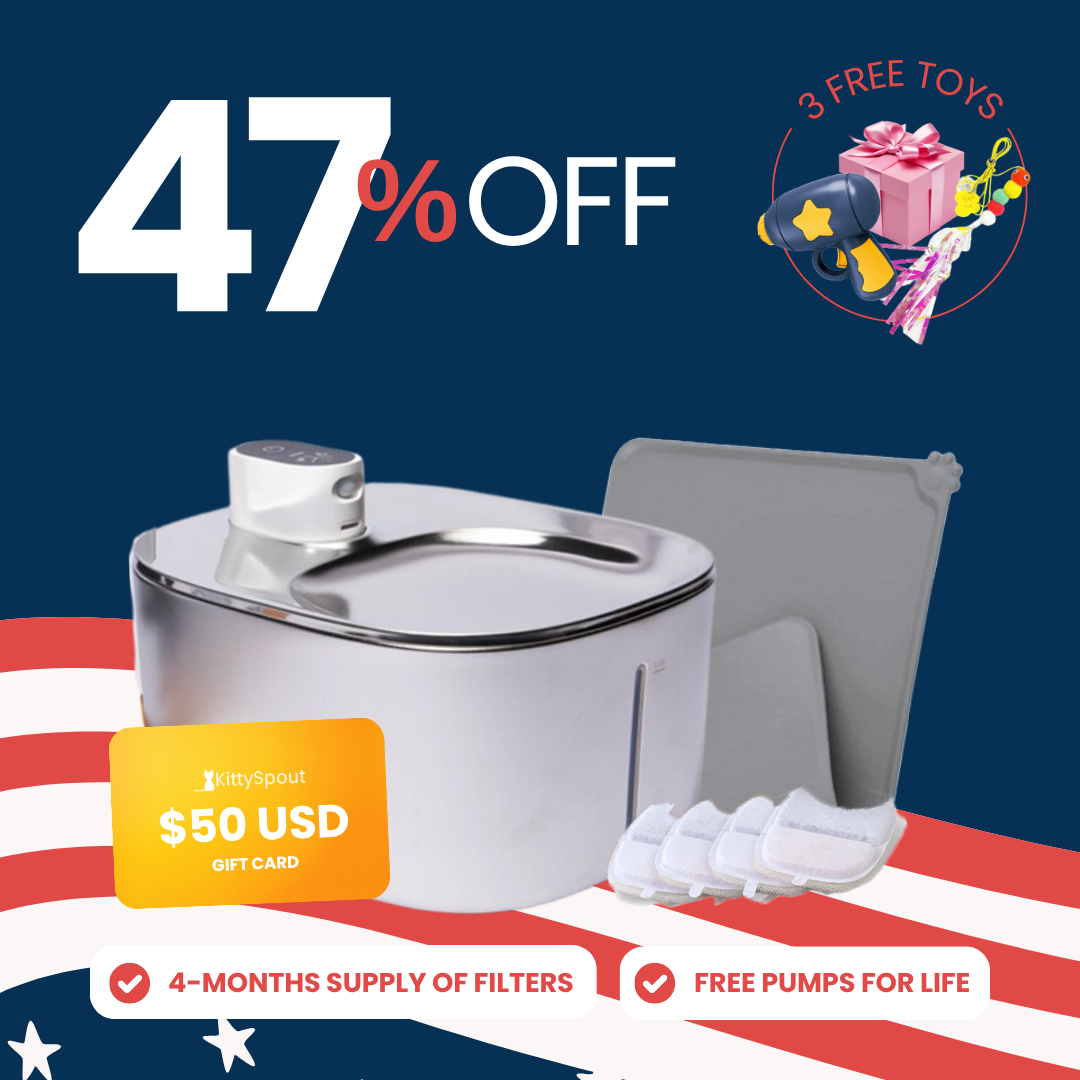 Wireless KittySpout Value Bundle
