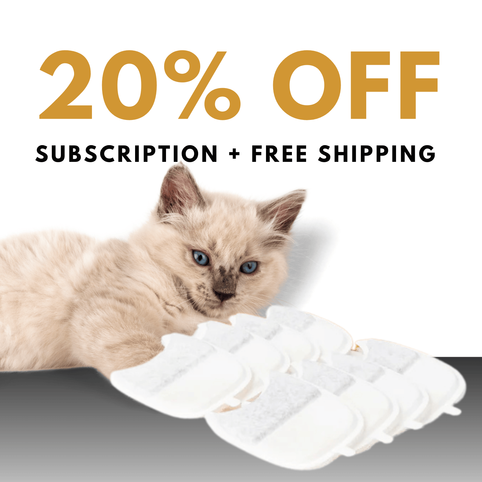 Wireless KittySpout Replacement Filters