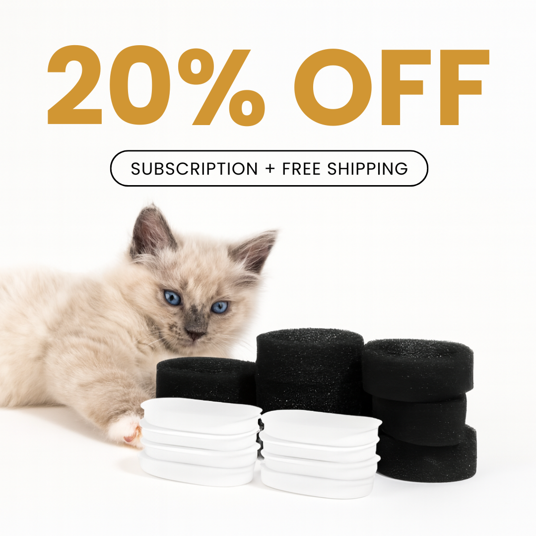 8x KittySpout™ Filtres - 8 mois d'approvisionnement