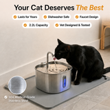 Der KittySpout™ – 2,2-Liter-Brunnen – 2-Monats-Kit thumbnail