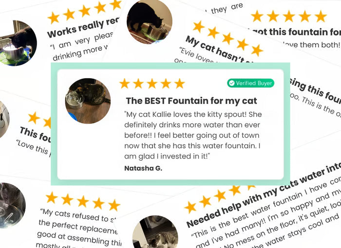 Verified Trustpilot customer reviews