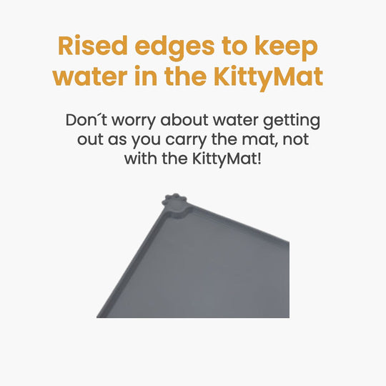 KittySpout Care & Utility Bundle