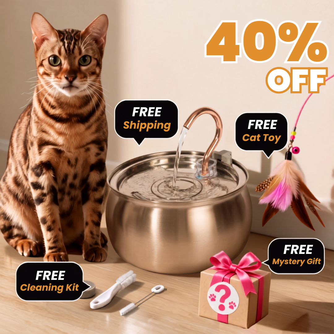 The KittySpout 4L fountain with its free gifts