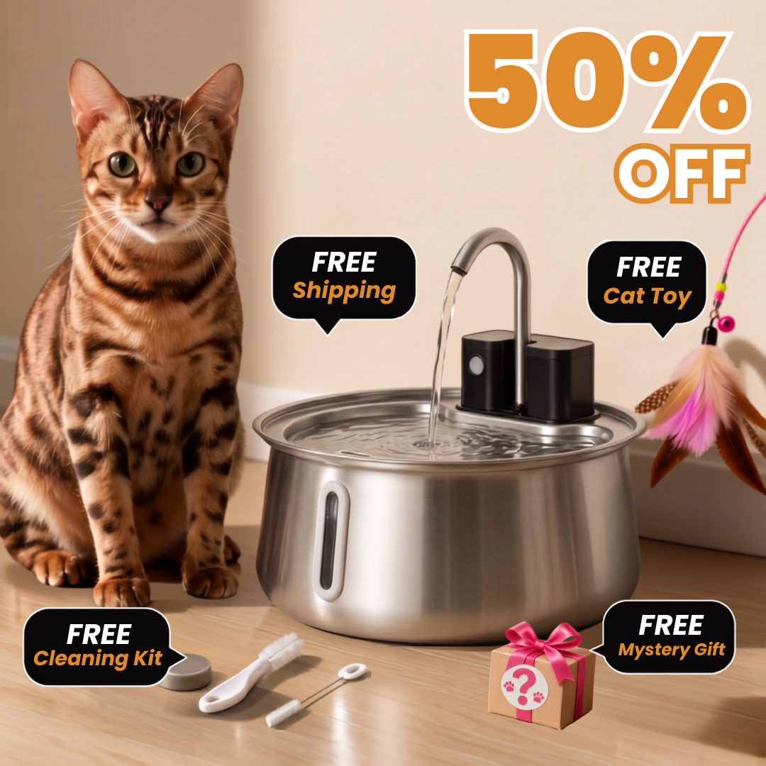 Get 50% OFF + FREE Gifts Today!