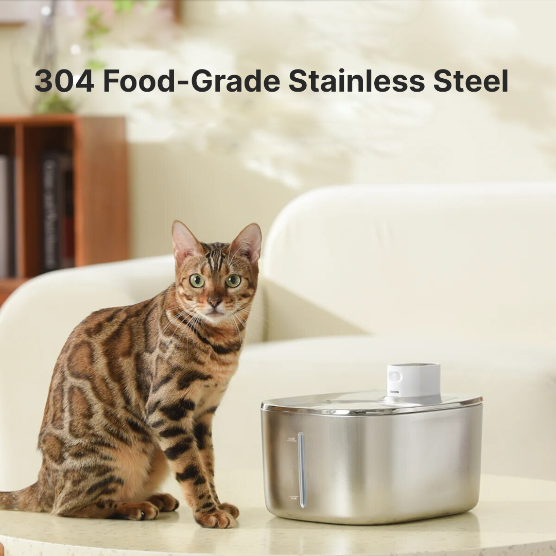 Refurbished The KittySpout - Wireless Fountain - 4 Month: Wireless KittySpout + 8 filter sets + free gift