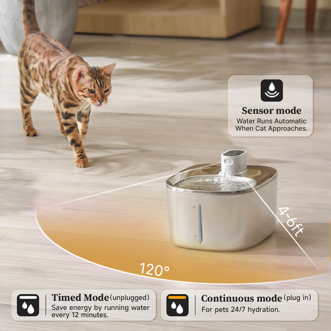 Refurbished The KittySpout - Wireless Fountain - 2 Month: Wireless KittySpout + 4 filter sets + free gift