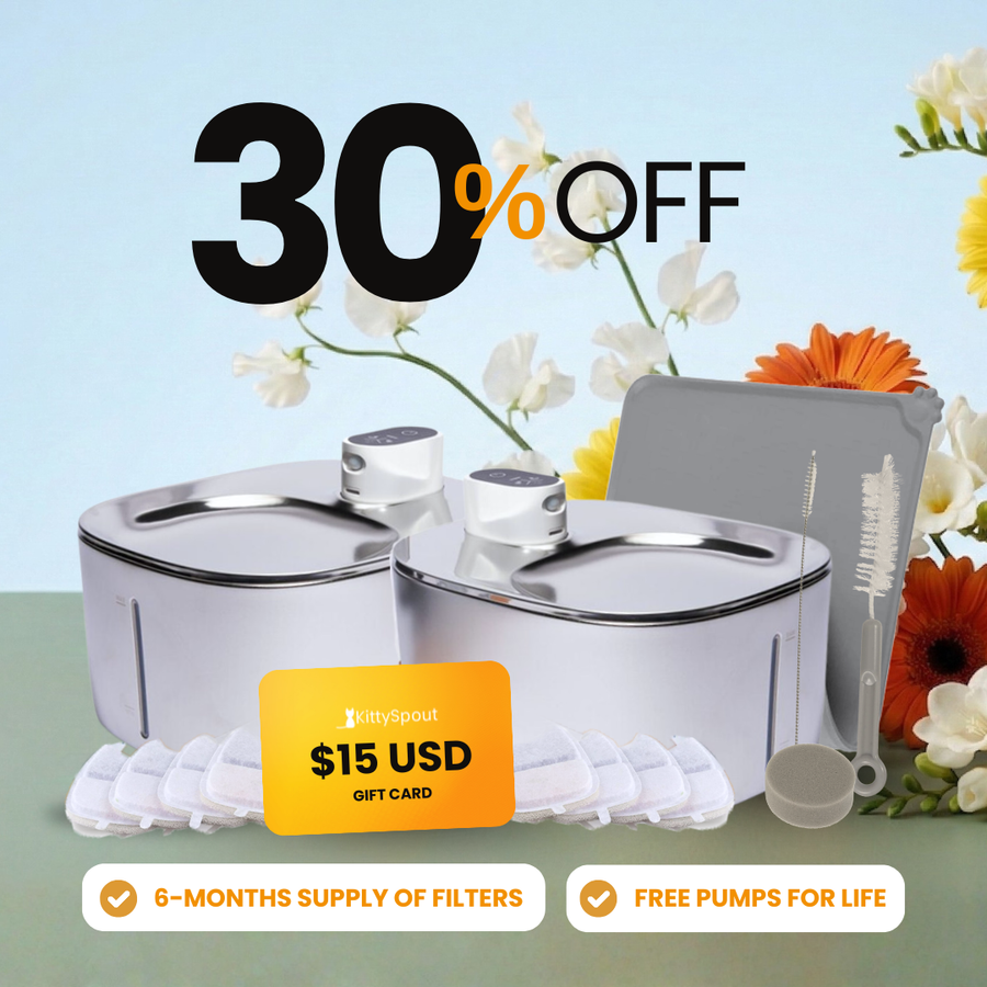 Wireless Big Cat Family Bundle